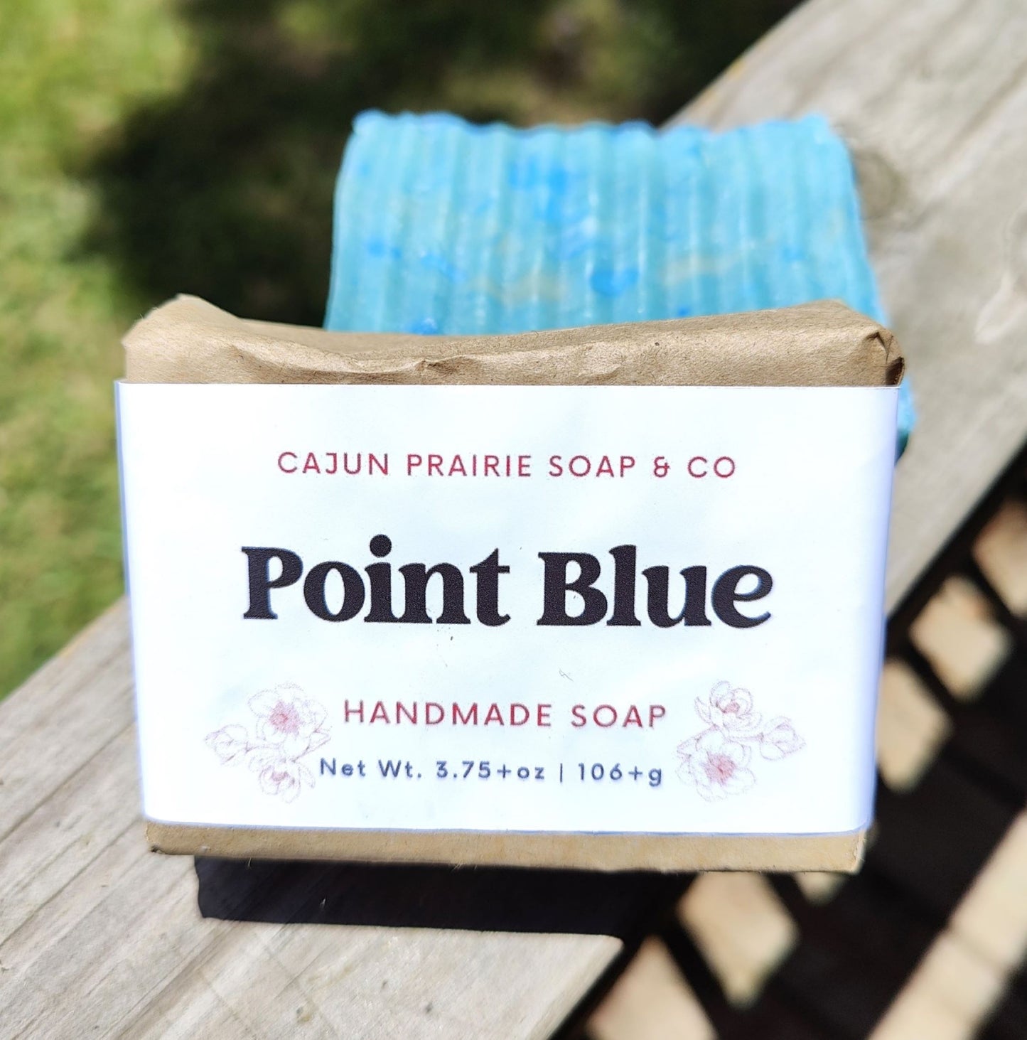 POINT BLUE SOAP