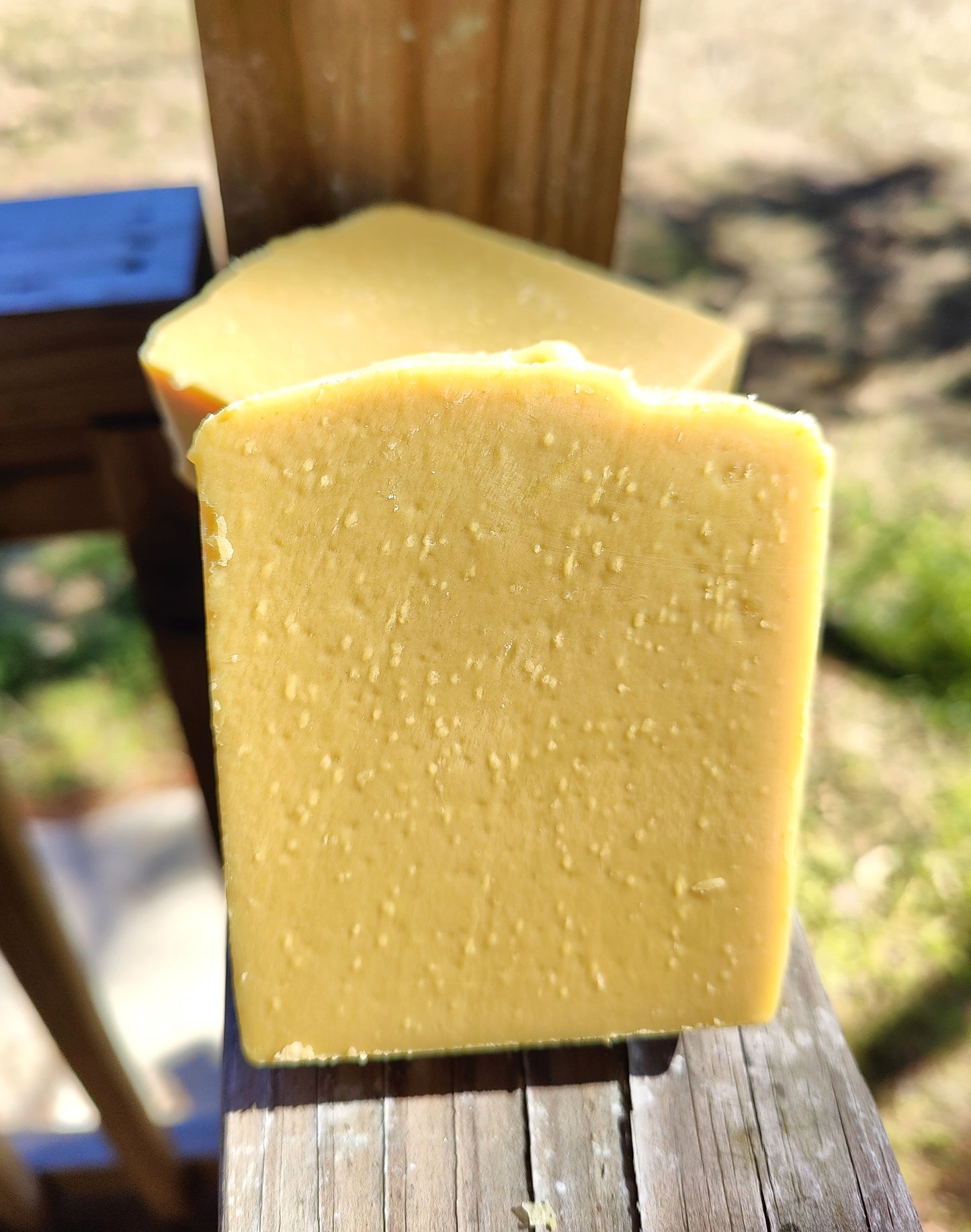 DANDELION PUMPKIN SOAP